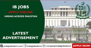 IB Jobs