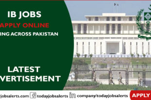 IB Jobs