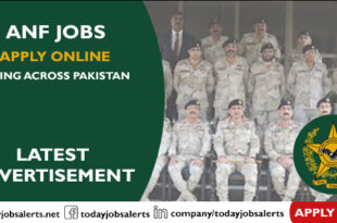 ANF Jobs