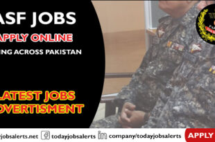 ASF Jobs