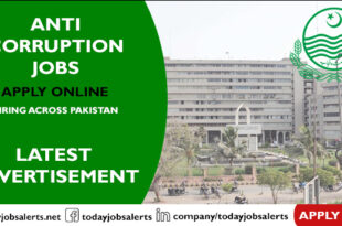 Anti Corruption Jobs