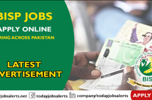 BISP Jobs
