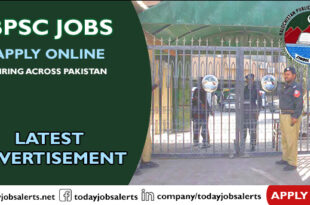 BPSC Jobs
