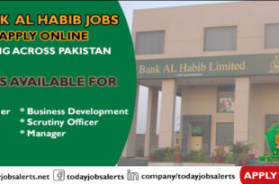 Bank Al Habib Jobs