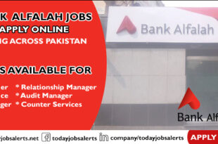 Bank Alfalah Jobs