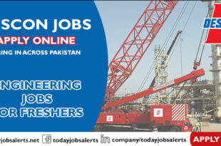 DESCON Jobs