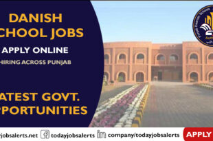 Danish School Jobs