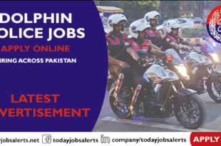 Dolphin Police Jobs