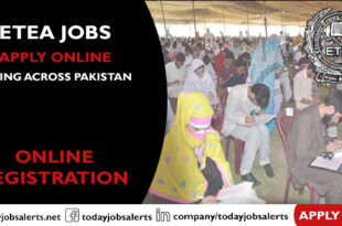 ETEA Jobs