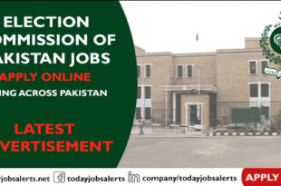 Election-Commission-of-Pakistan-Jobs