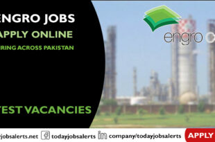 Engro Jobs