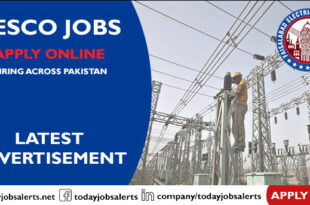 FESCO Jobs