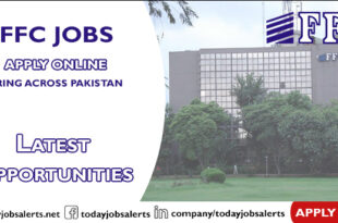 FFC Jobs