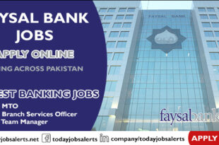 Faysal Bank Jobs