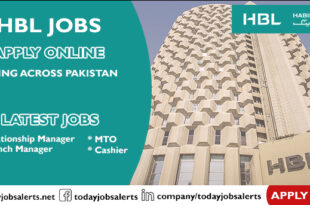 HBL Jobs