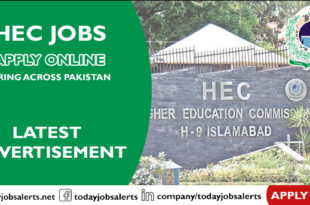 HEC Jobs