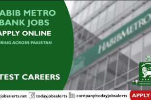 Habib Metro Bank Jobs