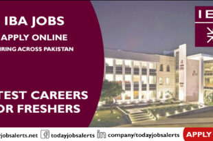 IBA Jobs