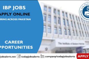 IBP Jobs