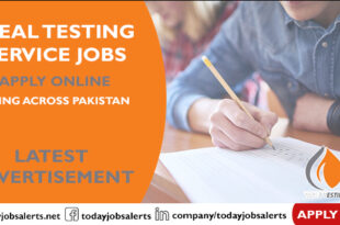 Ideal Testing Service Jobs