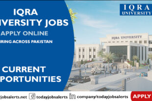 Iqra University Jobs
