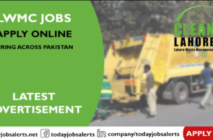 LWMC Jobs
