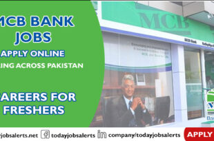 MCB Bank Jobs