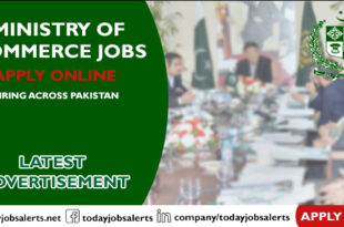 Ministry of Commerce Jobs