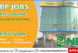 NBP Jobs