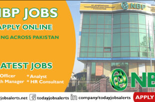 NBP Jobs