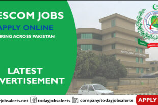 NESCOM Jobs