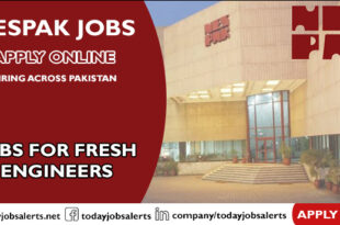 NESPAK Jobs