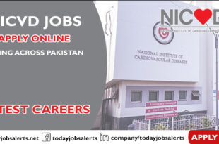NICVD Jobs