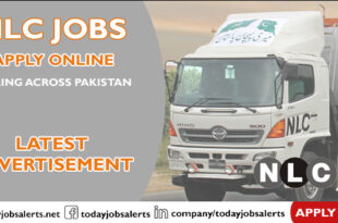 NLC Jobs