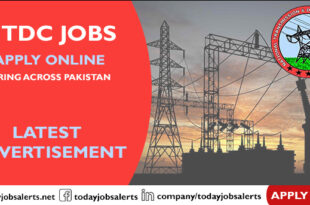 NTDC Jobs