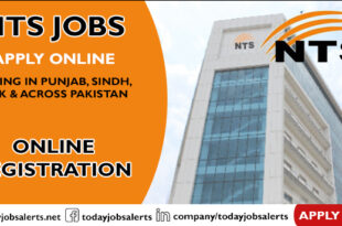 NTS Jobs
