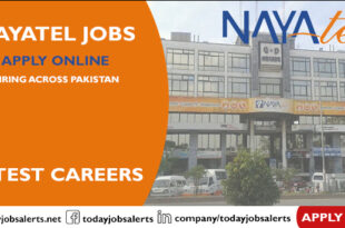 Nayatel Jobs