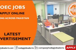 OEC Jobs