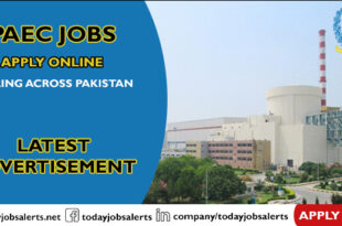PAEC Jobs