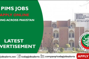PIMS Jobs