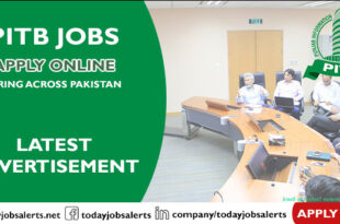 PITB Jobs