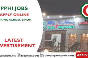 PPHI Jobs