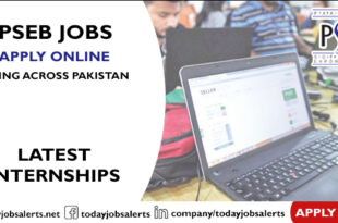 PSEB Jobs