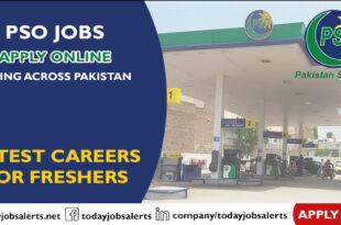 PSO Jobs