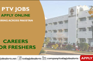 PTV Jobs
