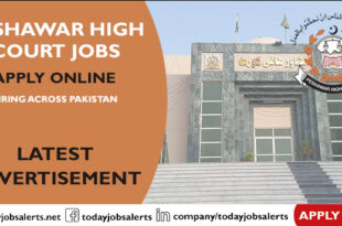 Peshawar High Court Jobs