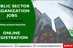 Public Sector Organization Jobs