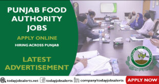 Punjab Food Authority Jobs