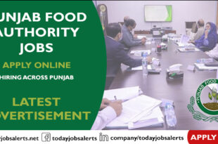 Punjab Food Authority Jobs