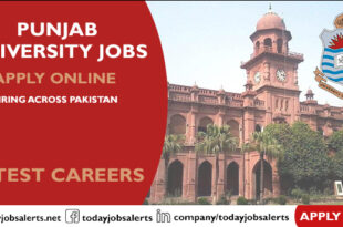 Punjab University Jobs